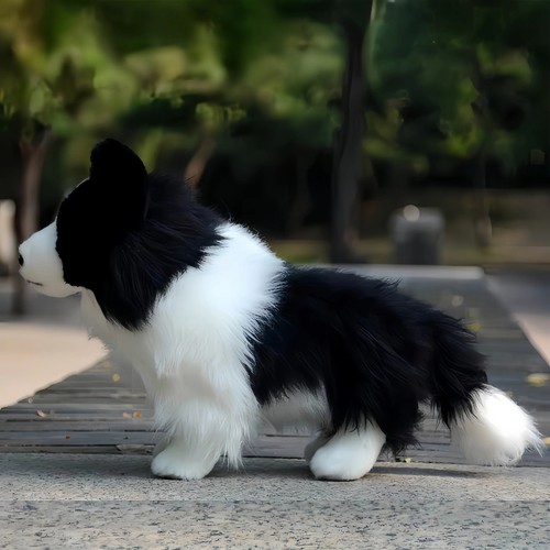Dougles chase border collie - chase,