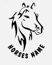2x 10 inch Horse Decals