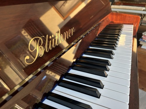 Bluthner model upright - m,