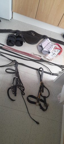 Equestrian joblot post - equestrian, joblot..uk