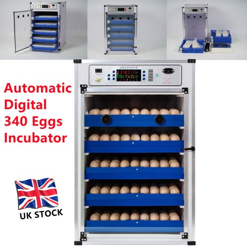340 eggs automatic digital - 340,