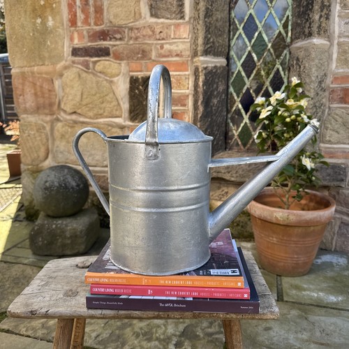 Vintage galvanized watering - galvanized,
