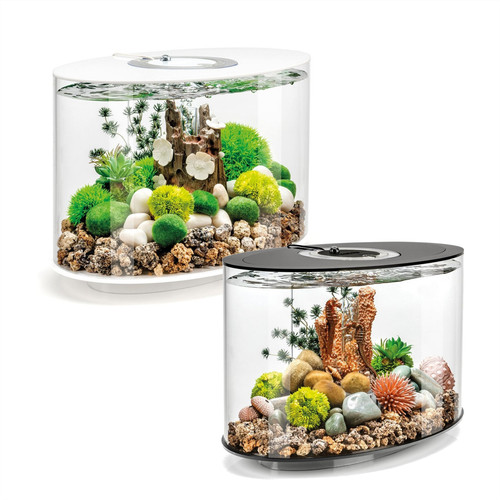 Biorb loop aquarium - aquarium, tank