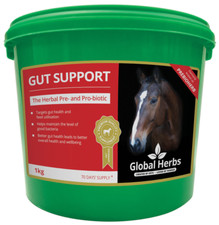 Global Herbs Gut Support Pre
