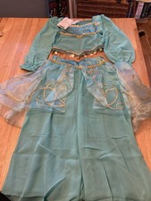Princess Jasmine Costume for