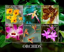 Liberia - 2022 Orchids, Noble Dendrobium - 6 Stamp Sheet - LIB220404a