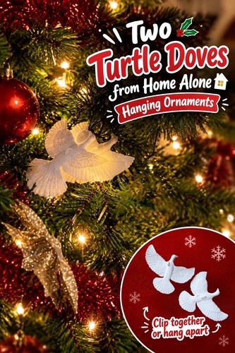 Two turtle doves home - turtle,