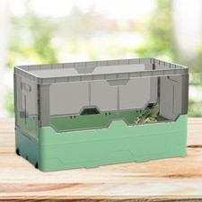 Turtles Tank Aquarium Hatching