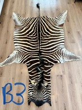 Zebra hide/ Zebra skin/ Zebra