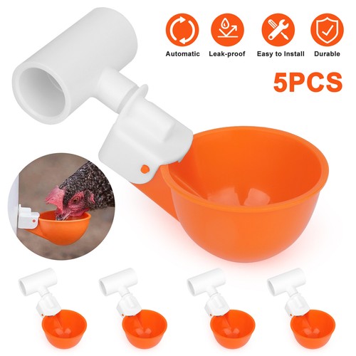 Automatic poultry drinking - automatic,