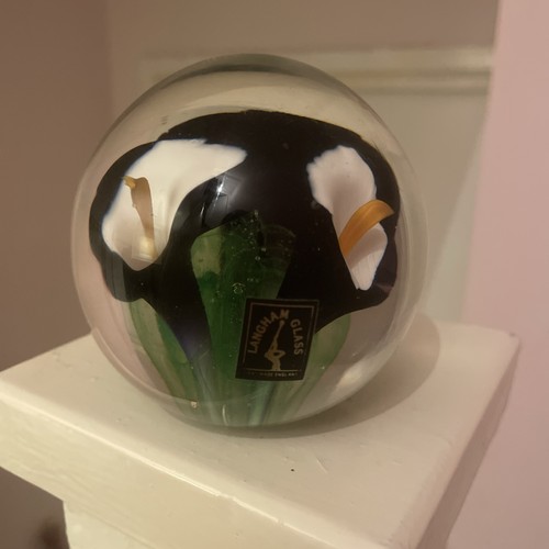 Langham glass lily - ,