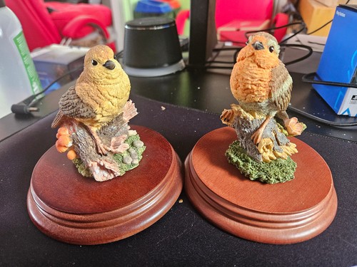 Leonardo collection robin and - collection,