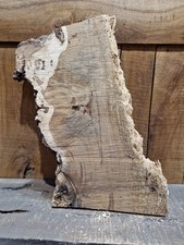 Live Edge Sweet Chestnut Slab (005)