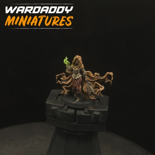 Pro painted dungeons dragons - painted,