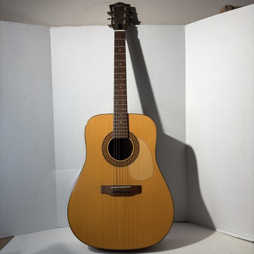 Vintage hofner acoustic - vintage,