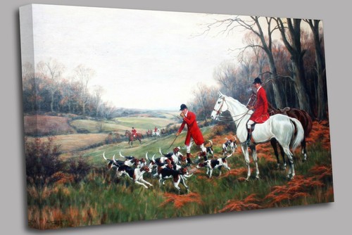 Fox hunting calling the - calling,