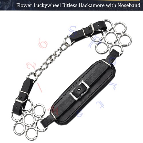 Horse bitless hackamore - hackamore,