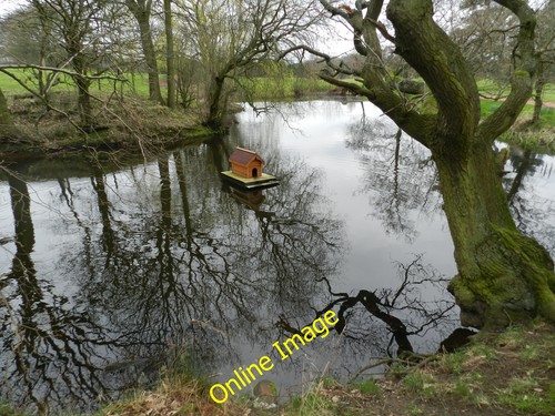 Photo 6x4 pond with floating - photo,