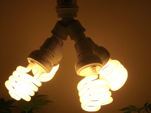 400 watt cfl - cfl, grow