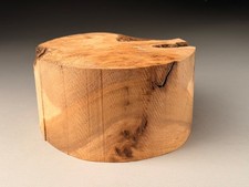 Burr Elm Wood Turning  Bowl Blanks 8x4 inch 1.8 KG