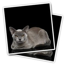 2x Vinyl Stickers Burmese Cat
