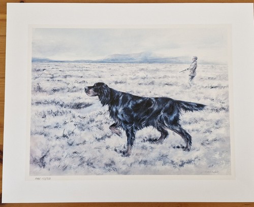 Dog hunting scene - dog, limited