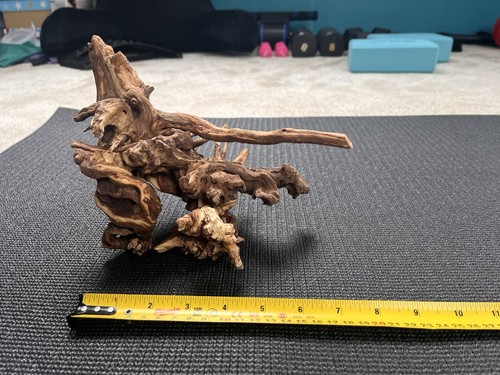 Aquarium bogwood mangrove - aquarium,