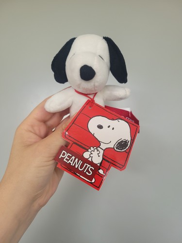 Peanuts snoopy beagle - peanuts, dog