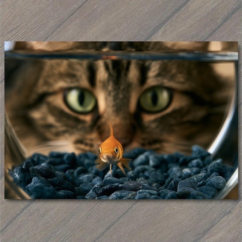 Art print goldfish - bowl, stare