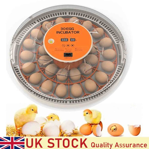 Eggs incubator egg candler - 30,
