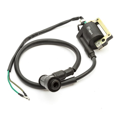 Ignition coil type kazuma - type, 2