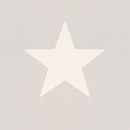 Rasch star wallpaper - wallpaper, white