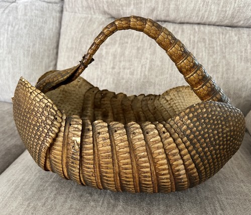 Armadillo shell basket bowl - armadillo,