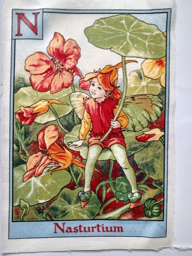 Nasturtium alphabet - n,