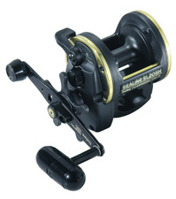 Daiwa Sealine SL20SH