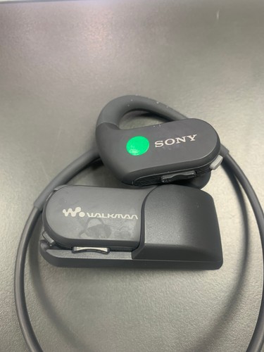 Sony waterproof walkman - waterproof, mp3