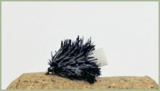 BARBLESS Foam Ass Blobs, AKA FAB, 6 Pack Black, Fishing Flies, Size 10 Trout Fly