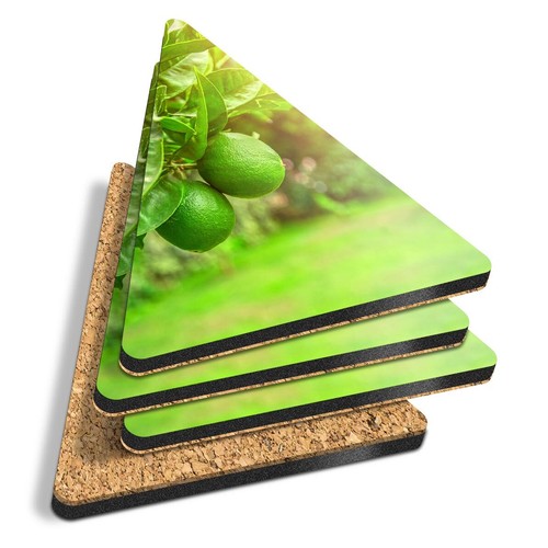 Triangle coasters citrus - 4x,
