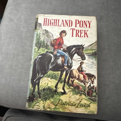 Highland pony trek - pony,
