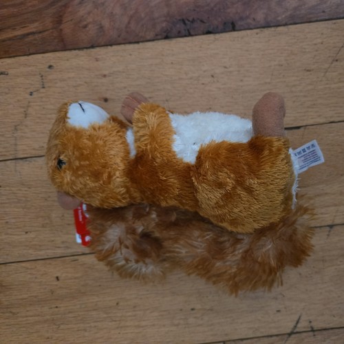 Aurora world inch - world, squirrel