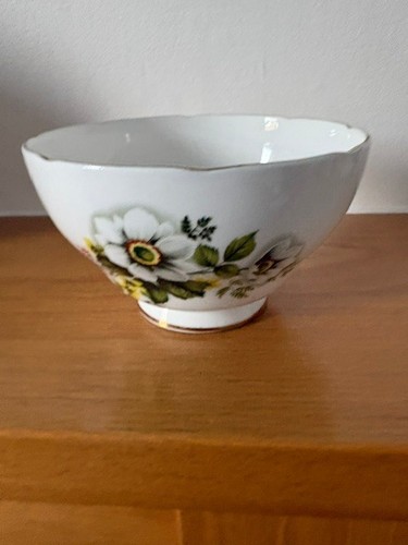 Vintage rare salisbury bone - rare,