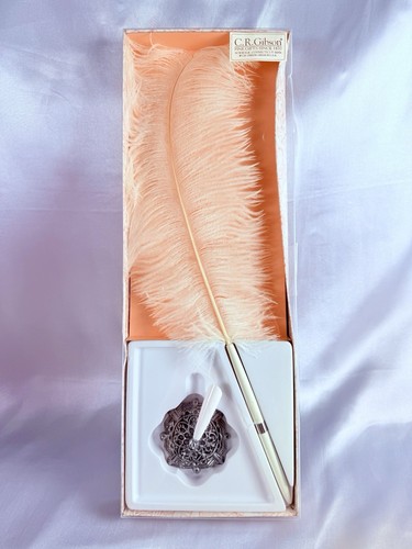 Vintage white feather - pen, desk