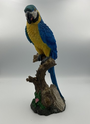 Large blue gold macaw parrot - large,