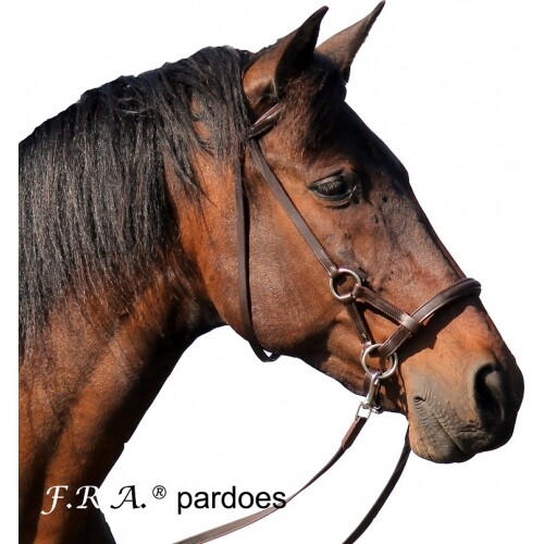 Pardoes sidepull bitless - pardoes,