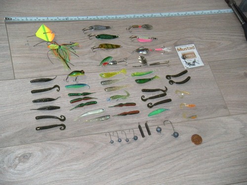 Bass fishing summer - fishing,