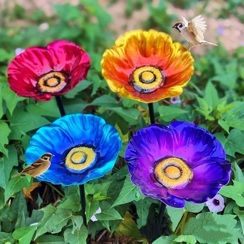 Flower shape garden - shape, bird