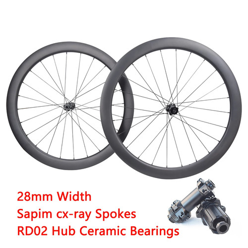 Carbon fiber ray spoke hub - carbon,
