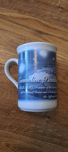 Berkshire china suffragettes - berkshire,
