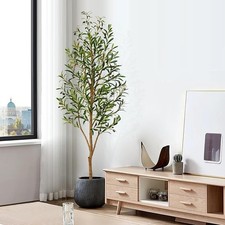 Keeplush 5ft Artificial Olive