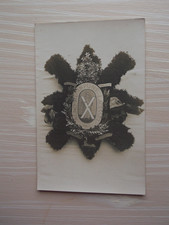 NEMO IMPUNE LACESSET - The